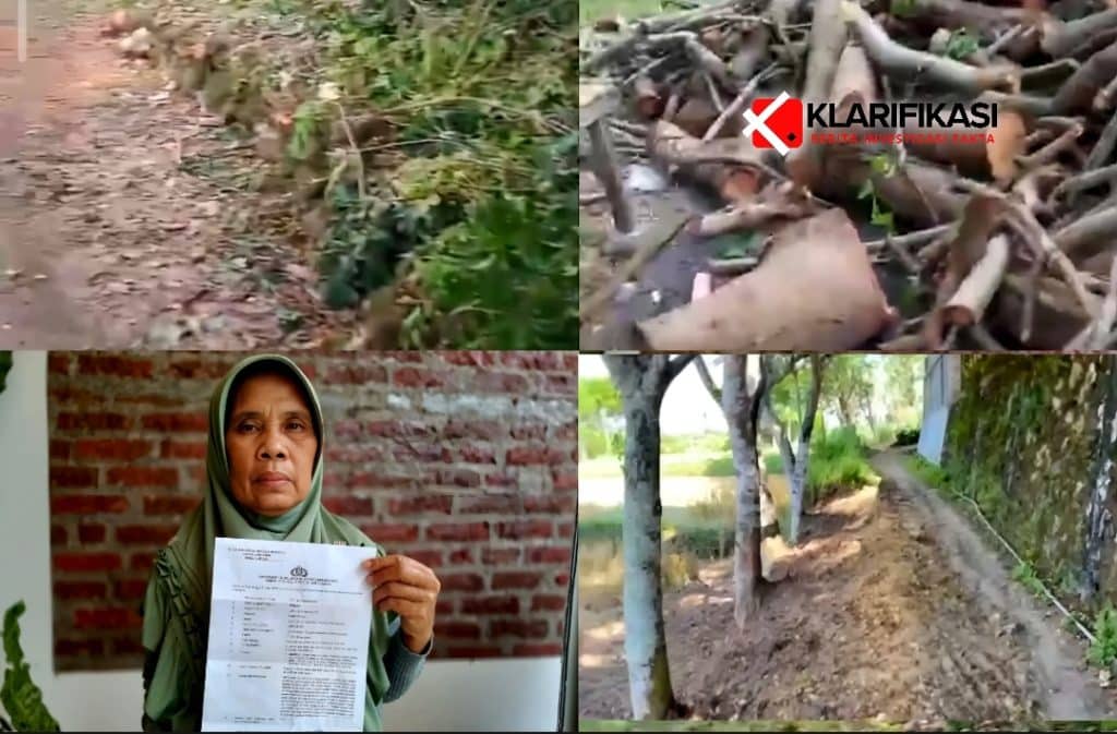 Ancaman Terhadap Keluarga, Hingga Penebangan Pohon: Konflik Penguasaan jalan di Camplong Memanas